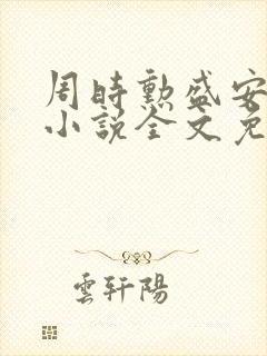 周时勋盛安宁的小说全文免费