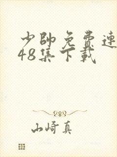 少帅免费连续剧48集下载