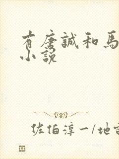 有唐诚和马玉婷小说