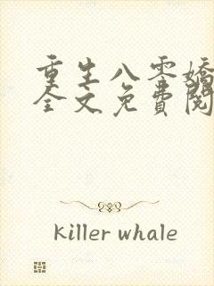 重生八零娇娇媳全文免费阅读