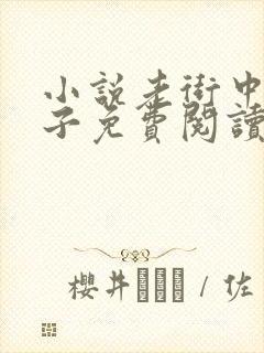 小说老街中的痞子免费阅读