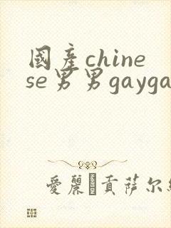 国产chinese男男gaygay在线封面