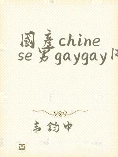 国产chinese男gaygay网站