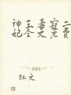 神王毒宠二嫁王妃全文免费封面