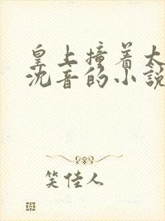 皇上撞着太子妃沈音的小说叫什么