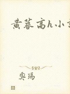 黄蓉高h小说