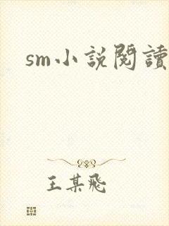 sm小说阅读