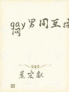 gay男同互操网