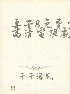 妻子8免费完整高清电视剧看