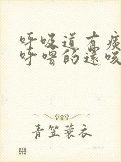 呼吸道有痰呼噜呼噜的还咳嗽老不好怎么办