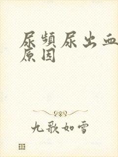 尿频尿出血什么原因