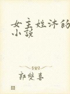 女主姓沐的穿越小说封面