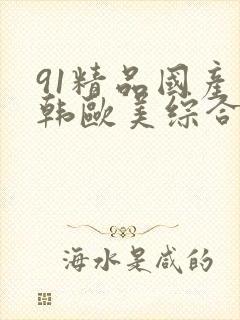 91精品国产日韩欧美综合