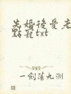 先婚后爱老公轻点宠txt