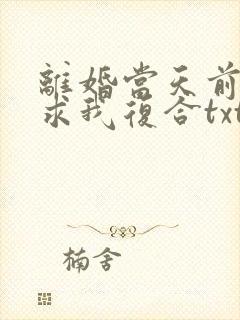 离婚当天前夫跪求我复合txt全本