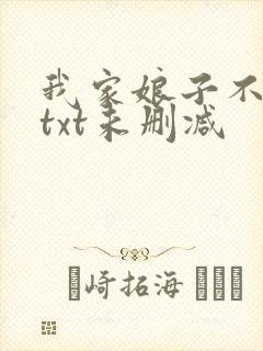 我家娘子不对劲txt未删减封面