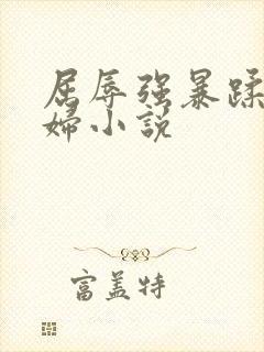 屈辱强暴蹂躏美妇小说封面