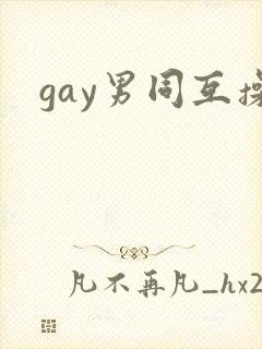 gay男同互操