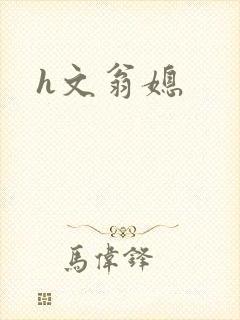 h文翁媳
