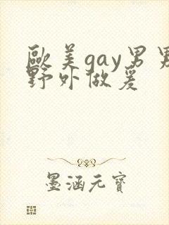 欧美gay男男野外做爰封面