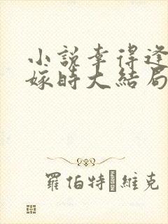 小说幸得逢卿未嫁时大结局封面