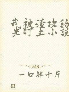 我被渣攻的白月光盯上小说免费阅读笔趣阁封面