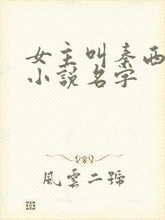 女主叫秦西流的小说名字封面