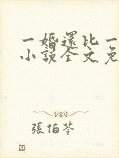 一婚还比一婚高小说全文免费阅读