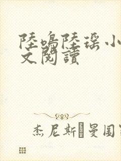 陆鸣陆瑶小说全文阅读