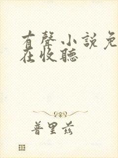 有声小说免费现在收听