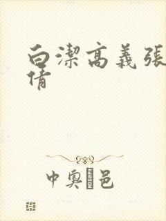 白洁高义张敏孙倩封面