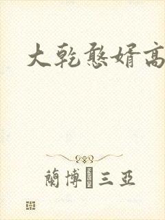 大乾憨婿高要