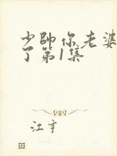 少帅你老婆又跑了第1集