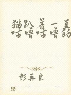 猫趴着一直发出咕噜咕噜的声音