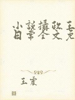 小说摄政王宠妃日常全文免费阅读封面