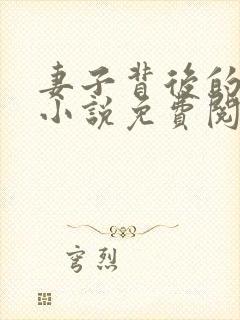 妻子背后的秘密小说免费阅读