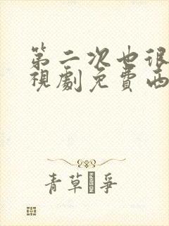 第二次也很美电视剧免费西瓜封面