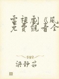 电视剧《风筝》免费观看全集高清封面