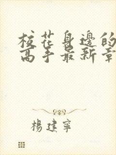 校花身边的贴身高手最新章节阅读封面