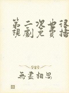 第二次也很美电视剧免费播放