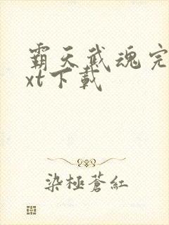 霸天武魂完整txt下载