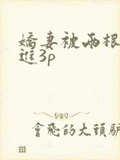 娇妻被两根一起进3p