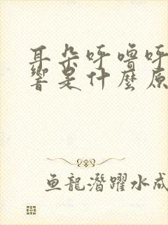 耳朵呼噜呼噜的响是什么原因