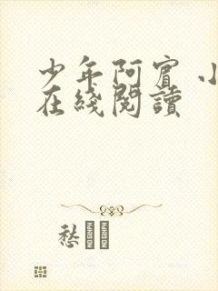 少年阿宾 小说在线阅读封面