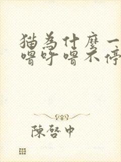 猫为什么一直呼噜呼噜不停封面