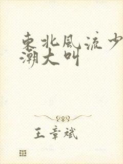 东北风流少妇高潮大叫