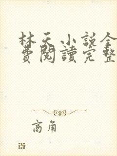 林天小说全文免费阅读完整版