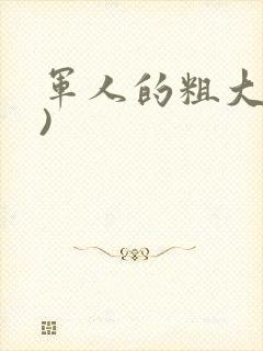 军人的粗大(h)