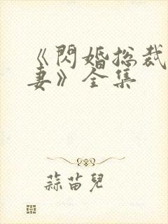 《闪婚总裁契约妻》全集