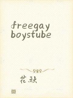 freegayboystube封面